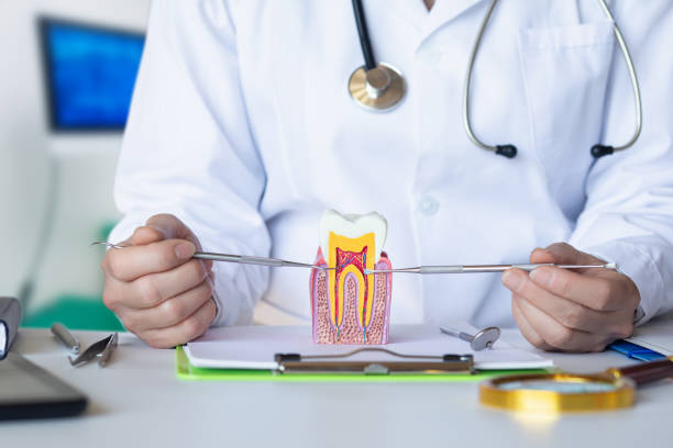 Best Emergency Root Canal Treatment in Camden, TN